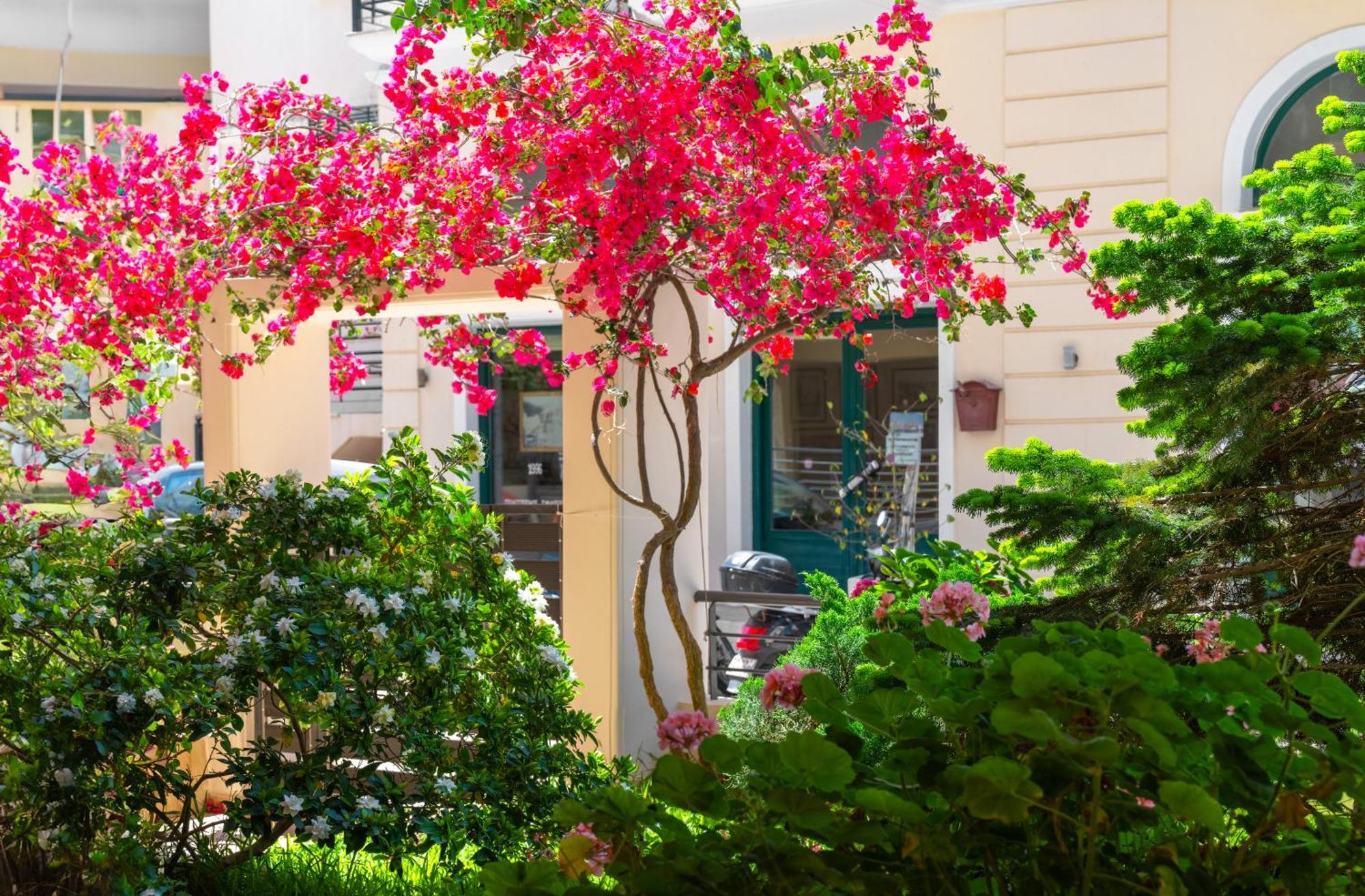 Myrto1 Apartment Preveza Exterior foto